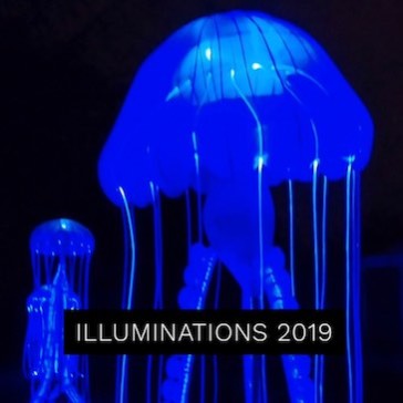 Illuminations 2019 – Jardin des plantes